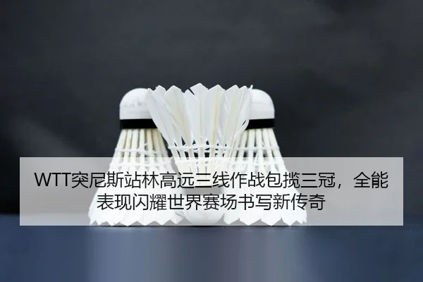 tu-ni-si-zhan-lin-gao-yuan-san-xian-zuo-zhan-bao-lan-san-guan-quan-neng-biao-xian-shan-yao-shi-jie-sai-chang-shu-xie-2-846.jpg