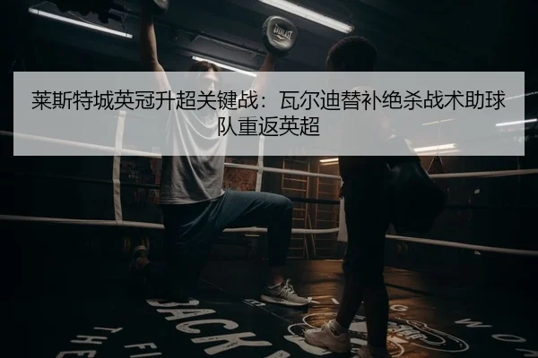 莱斯特城英冠升超关键战：瓦尔迪替补绝杀战术助球队重返英超